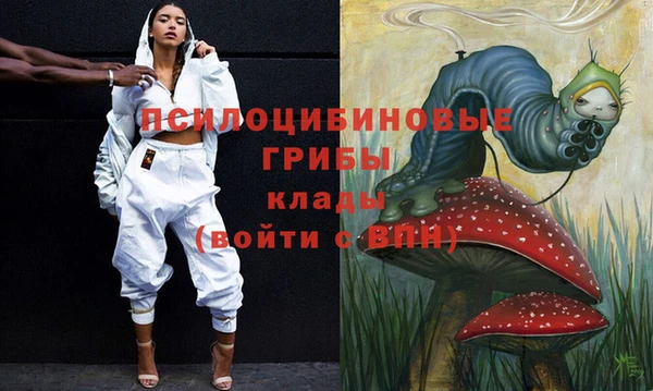 спайс Абаза