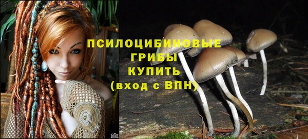молекула духа Нея